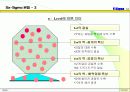 Six-Sigma의 개요 및 접근전략(교내 경영발표전략 대상 수상작) 14페이지