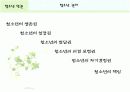 청소년 인권, 청소년인권문제들, 청소년인권센터 (프리젠테이션) 7페이지