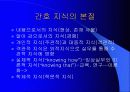 간호이론 총론-간호학의 본질과 학문적 특징 그리고 학문적, 실제적 접근 방법 31페이지