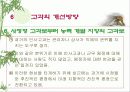 인사 고과제도란  무엇인가?-PPT 87page 61페이지