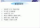 레인콤(아이리버) 분석 24페이지