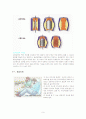 심근경색증에 대해 10페이지