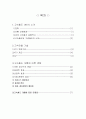 고속철도(KTX)설명, 영향,효과,부작용 2페이지