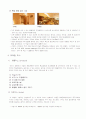 최고급 중저가호텔 서울 이비스호텔의 마케팅전략 분석 17페이지