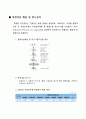 우리은행의 리스크관리 실태 조사 11페이지