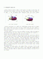 재래시장의 마케팅 전략 10페이지