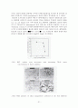 나노(기상반응에서 실리카를 이용한 나노분말 제조 연구)  31페이지