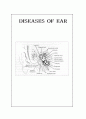 귀질환 DISEASES OF EAR 1페이지