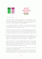 디자인에 대한 모든것 6페이지