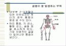 골다공증 11페이지