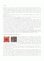 색채론-옵아트에 대하여 1페이지