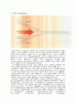 DNA복제와 PCR 17페이지