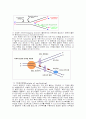 DNA복제와 PCR 19페이지