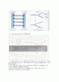 DNA복제와 PCR 21페이지