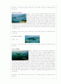 인천지역의 모든 섬들 7페이지