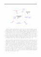 위천공단 설치를 둘러싼 환경, 지역갈등을 중심으로 47페이지