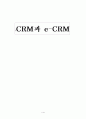 CRM과 e-CRM 1페이지