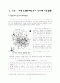 국내 전원 주택의 현황과 개선 방안 5페이지