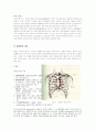 세동제거(defibrillation)와 심율동전환(cardioversion or counter shock) 3페이지