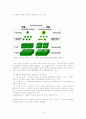 싸이월드의 마케팅 전략 12페이지