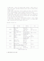 대량 맞춤[대량생산(mass production)과 고객화(customaztion)]개념 8페이지