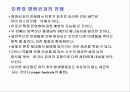 미생물의 세계(파워포인트-발표용) 13페이지