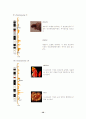 Human Genome Project (인간게놈프로젝트) 36페이지