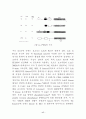 Signal transduction (신호전달) 17페이지