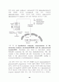 Signal transduction (신호전달) 38페이지