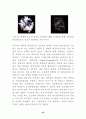 Signal transduction (신호전달) 45페이지