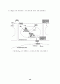 Signal transduction (신호전달) 48페이지