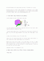 멘델의 법칙(Mendelism) 10페이지