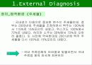 하이트와 하이트 프라임의 비교분석 / 브랜드 성공 실패 사례 6페이지