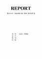 리니지2 유료화에 따른 웹젠의 대응전략 완벽분석 1페이지