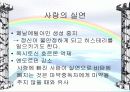 뇌와 성(사랑)은 어떻게 관련이 되어있나? 26페이지