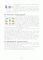 신세계 상품권을 No.1 브랜드로 만들기 위한 커뮤니케이션 전략 10페이지