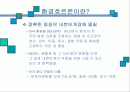 환경 호르몬의 영향 / 환경과 사회 2페이지