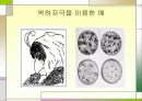 잠재의식을 이용한 광고/마케팅 4페이지