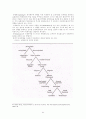 [사회 조사방법론] 연구설계(Research Design) 8페이지