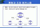 글로벌기업의 인적자원관리 21페이지