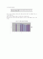 남북한 교육지표 비교분석 24페이지