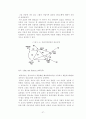 교육과 사회평등 또는 불평등의 관계 27페이지