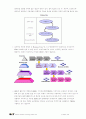 SK텔레콤에 기업혁신기법(SEM, ABC/M, 비전경영, 지식경영, CRM) 적용 3페이지