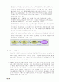 SK텔레콤에 기업혁신기법(SEM, ABC/M, 비전경영, 지식경영, CRM) 적용 5페이지