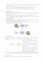 전자상거래와 e-Biz의 이해와 전망 14페이지