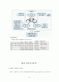 레포츠에 관한 연구조사 22페이지