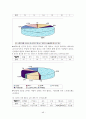 레포츠에 관한 연구조사 49페이지