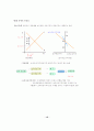 수요­공급의 이론 12페이지