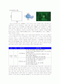 인간. 가장 큰 매트릭스(Matrix) 11페이지