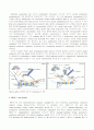 아노이키스 ANOIKIS 10페이지